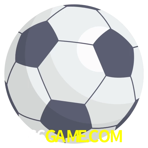 Futebol
